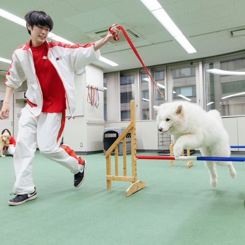 大阪動物専門学校天王寺校