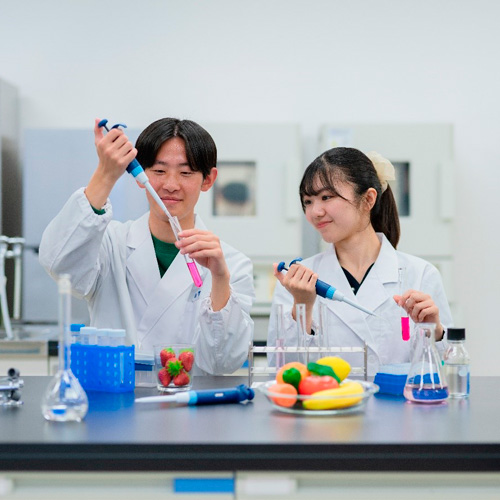 修文大学4