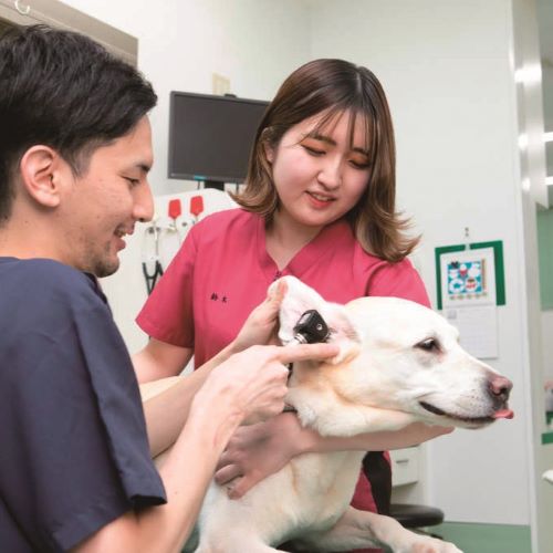 ＴＣＡ東京ＥＣＯ動物海洋専門学校3