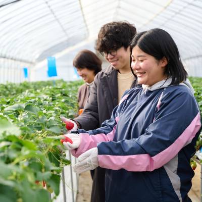 奈良県立なら食と農の魅力創造国際大学校