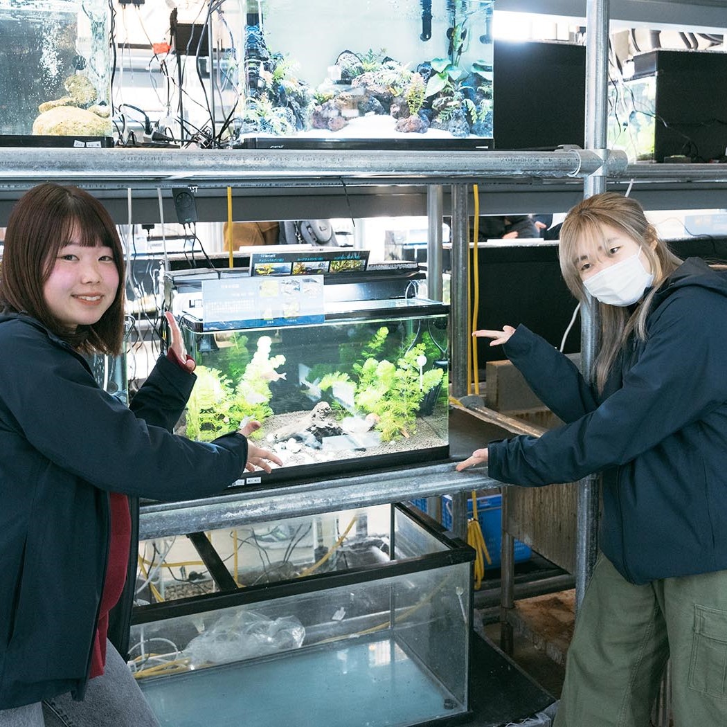 日本さかな専門学校2