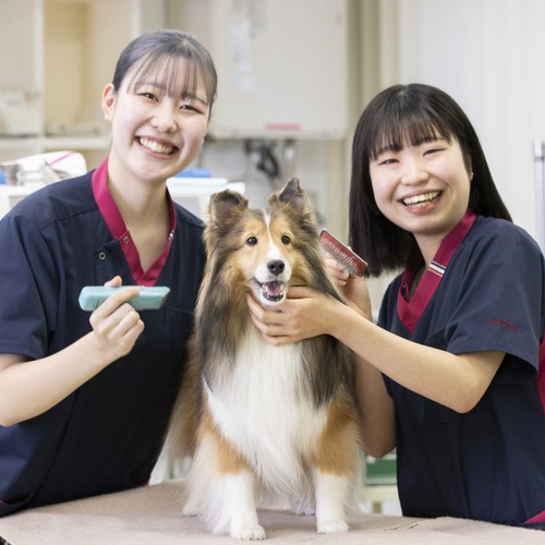 札幌デジタル＆どうぶつ・医療・観光専門学校