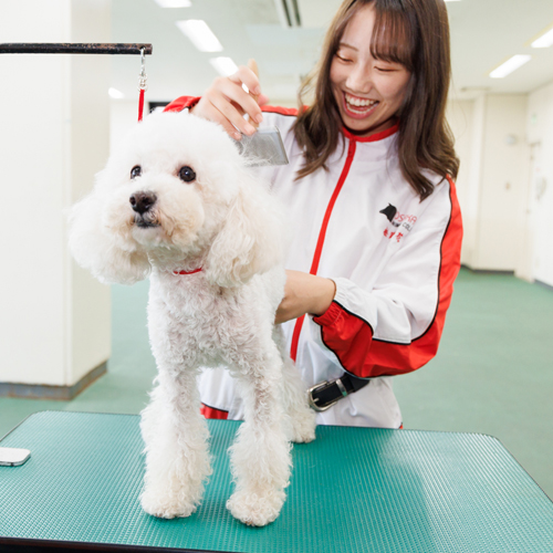 横浜動物専門学校