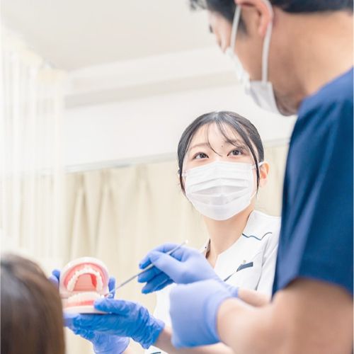 東京メディカル歯科専門学校2