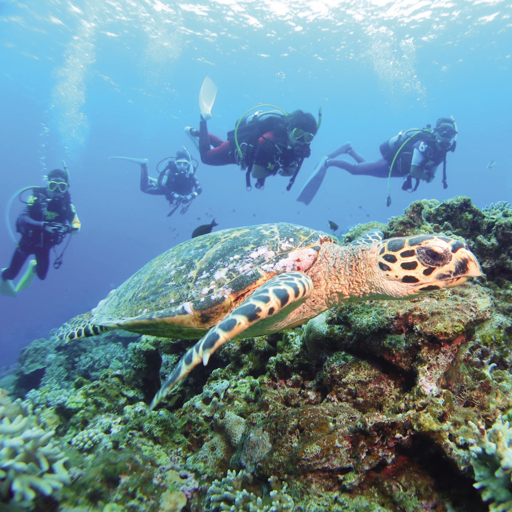 東京リゾート＆スポーツ専門学校