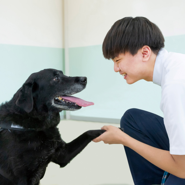 関西学研医療福祉学院