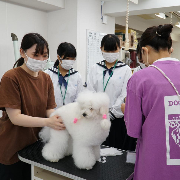 広島情報ビジネス専門学校