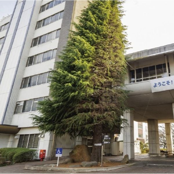 足利大学のオープンキャンパス詳細