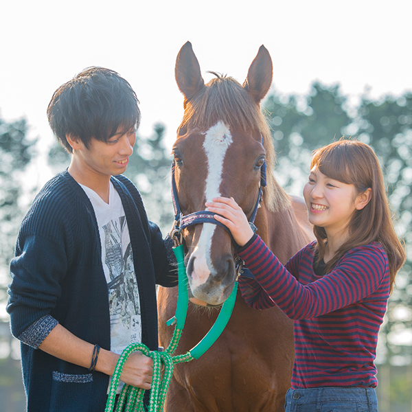 北里大学のオープンキャンパス詳細