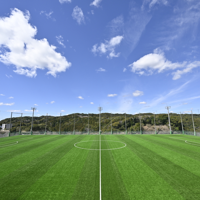 国際武道大学