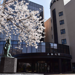上武大学
