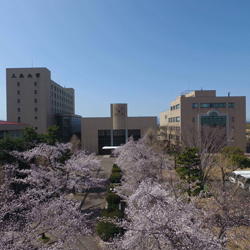 上武大学