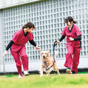 帝京平成大学のオープンキャンパス詳細