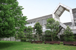 東洋大学