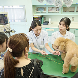中央動物専門学校