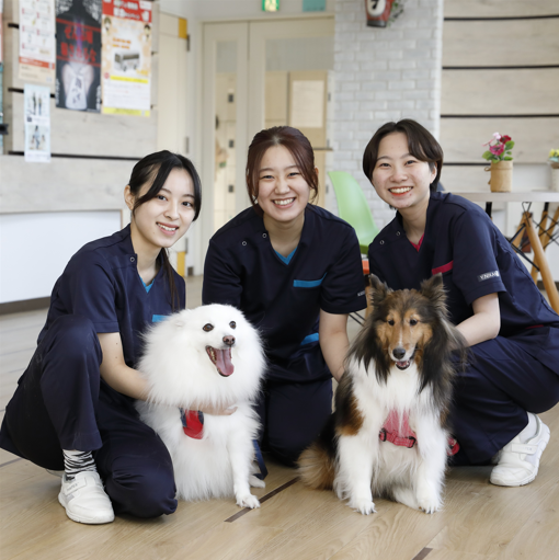 吉田学園動物看護専門学校