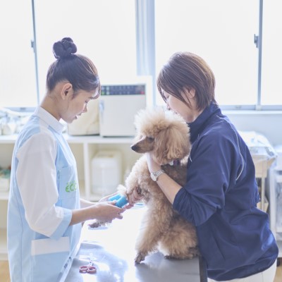 福岡ＥＣＯ動物海洋専門学校