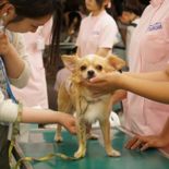 つくば国際ペット専門学校