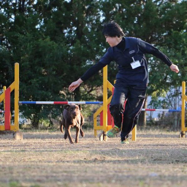 つくば国際ペット専門学校
