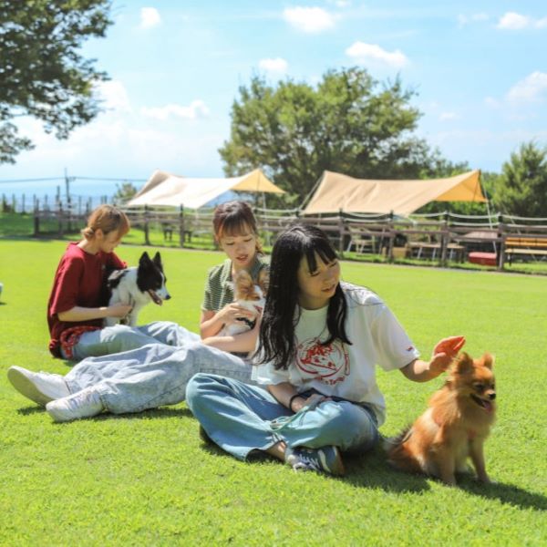 群馬動物専門学校