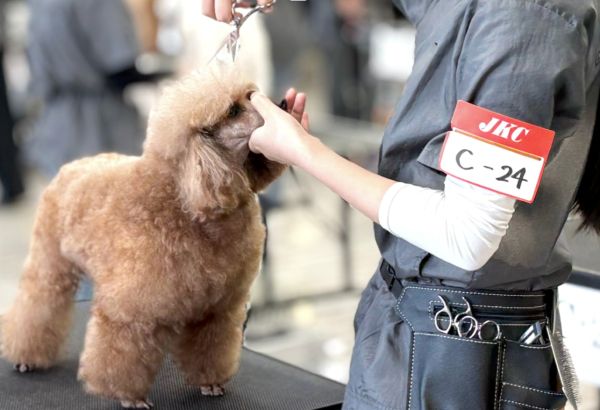 群馬動物専門学校