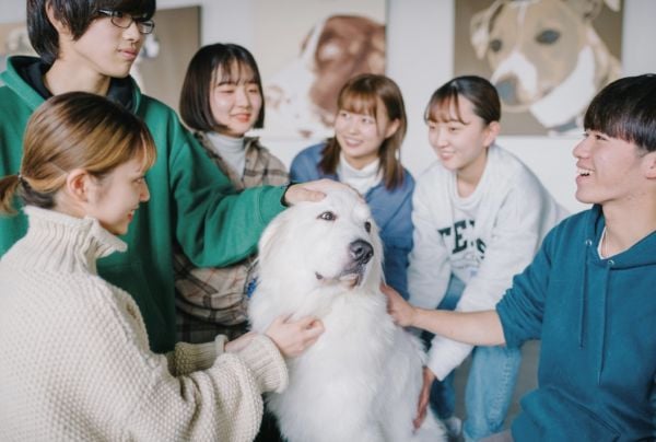 群馬動物専門学校