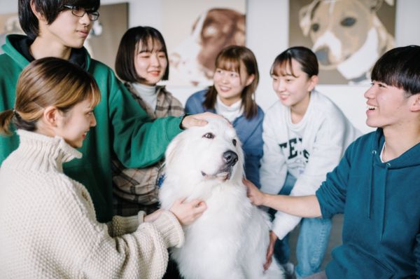 群馬動物専門学校