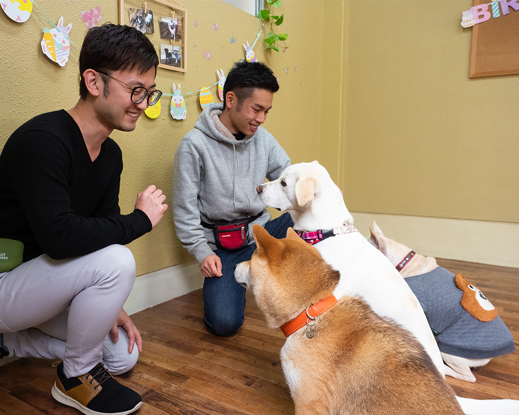 ドッグトレーナー体験＜家庭犬＞／大阪ＥＣＯ動物海洋専門学校