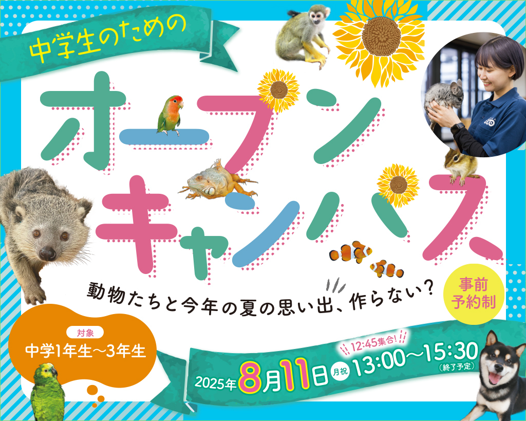 中学生オープンキャンパス／大阪ＥＣＯ動物海洋専門学校