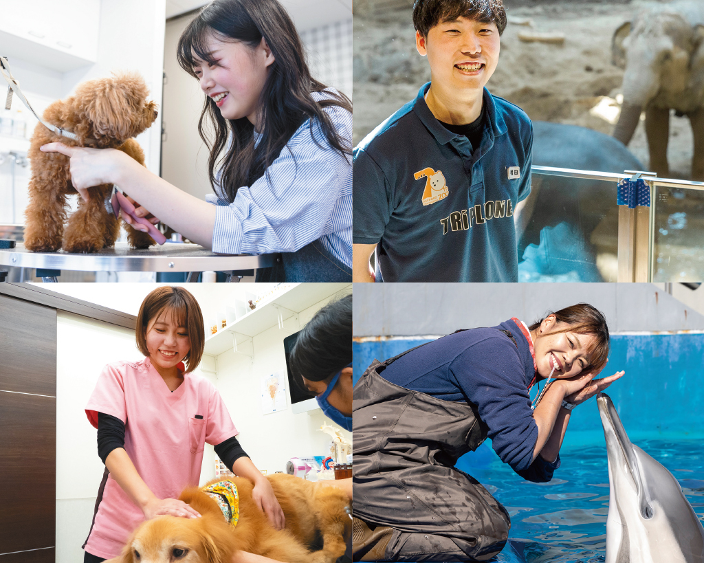大阪ＥＣＯ動物海洋専門学校