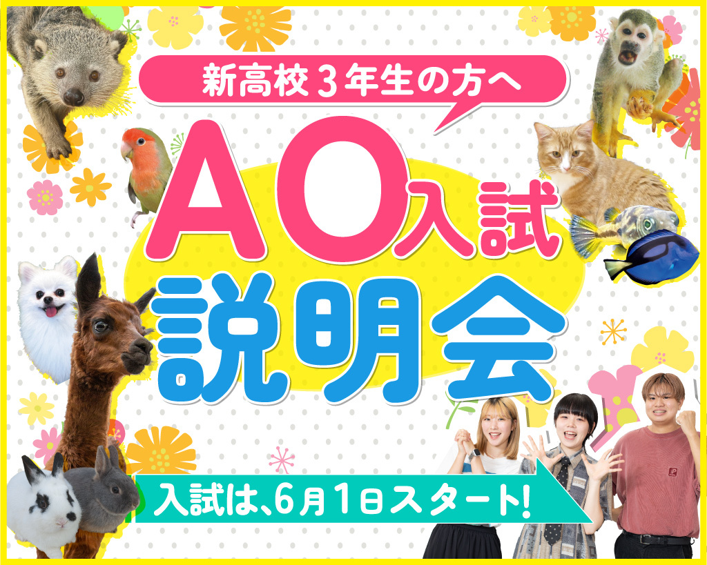 AO入試（総合型選抜）まるわかり説明会／大阪ＥＣＯ動物海洋専門学校