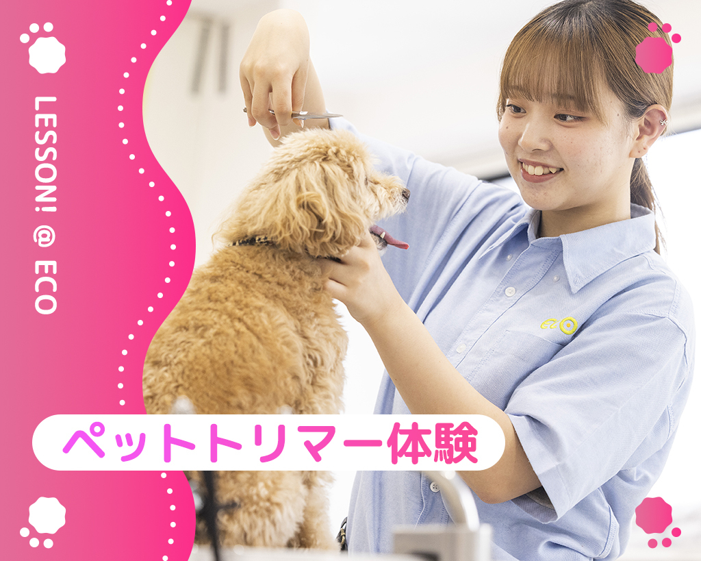 ペットトリマー体験／大阪ＥＣＯ動物海洋専門学校