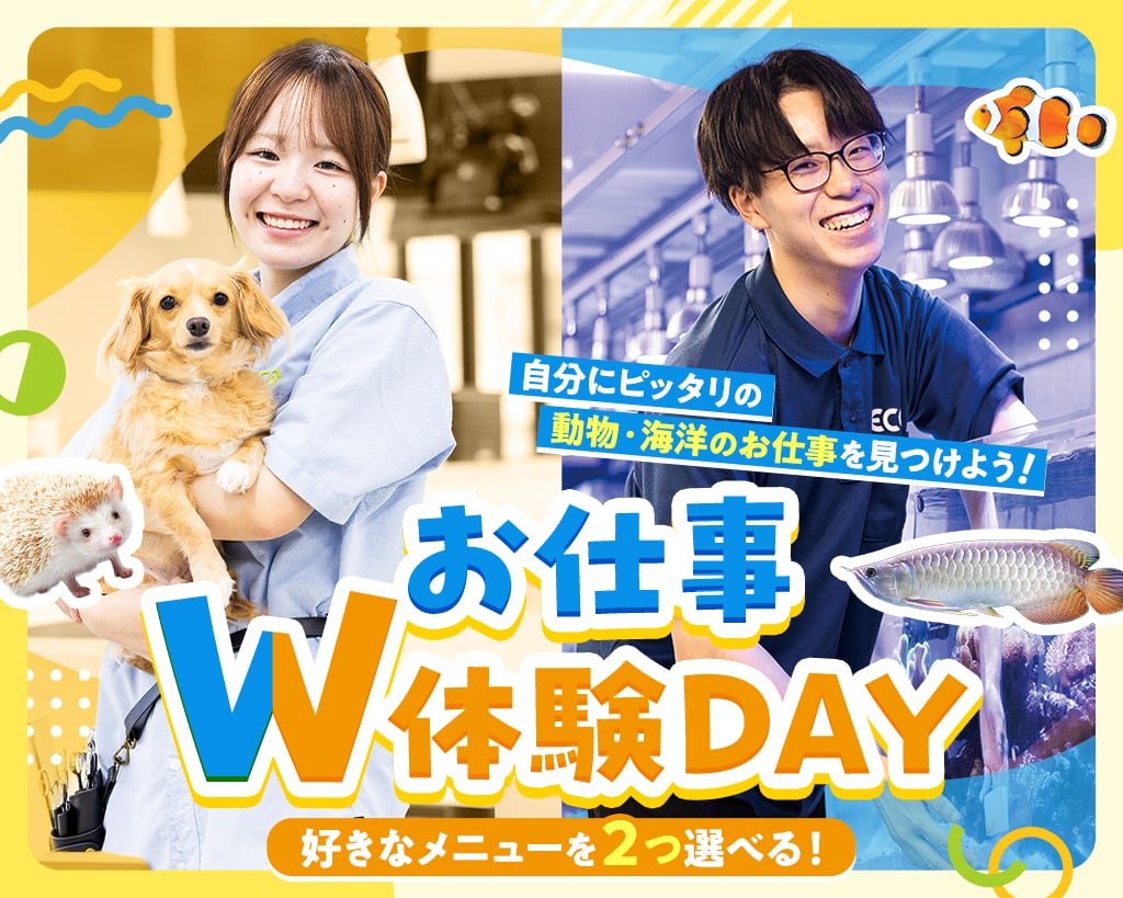 お仕事W体験DAY／大阪ＥＣＯ動物海洋専門学校