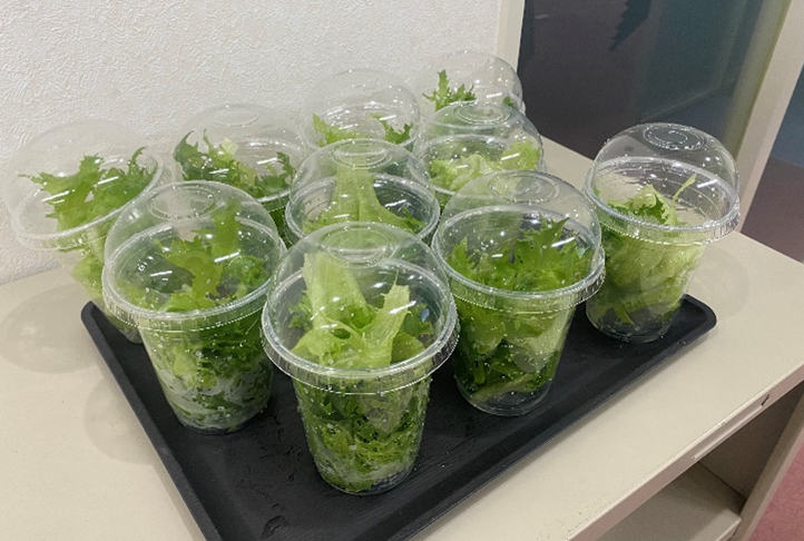 愛甲農業科学専門学校