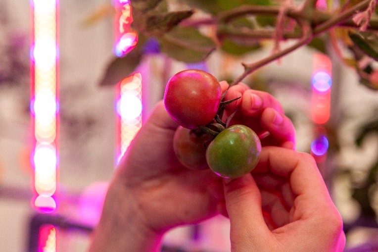 愛甲農業科学専門学校