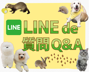 仙台ＥＣＯ動物海洋専門学校