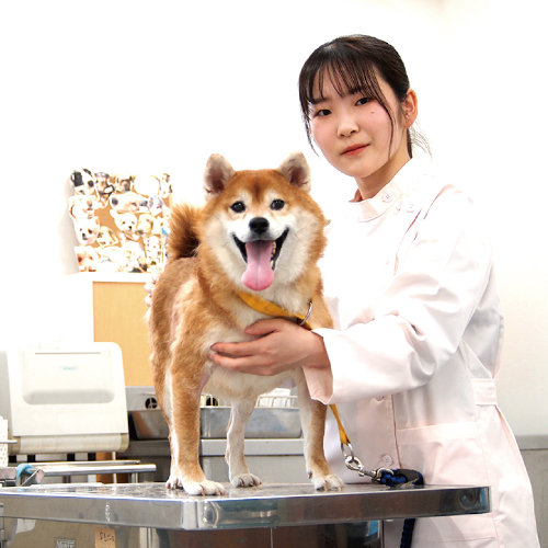 愛知ペット専門学校