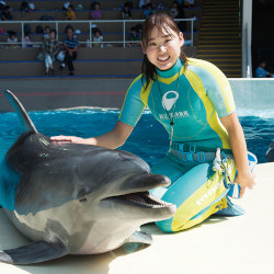 体験メニュー
（ドルフィントレーナー）／名古屋ＥＣＯ動物海洋専門学校