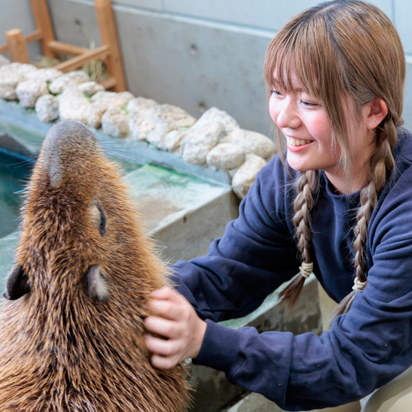 体験メニュー
（動物園・動物飼育）／名古屋ＥＣＯ動物海洋専門学校