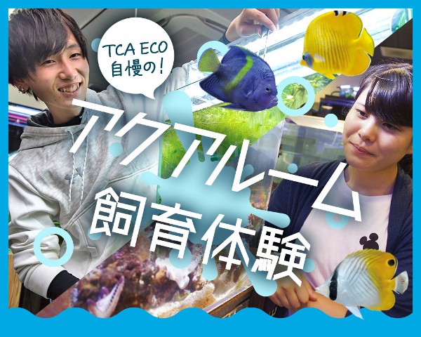 ＴＣＡ東京ＥＣＯ動物海洋専門学校