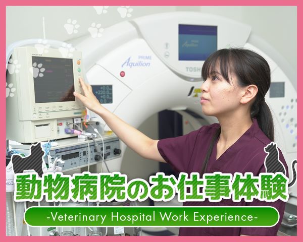 動物病院のお仕事体験／ＴＣＡ東京ＥＣＯ動物海洋専門学校