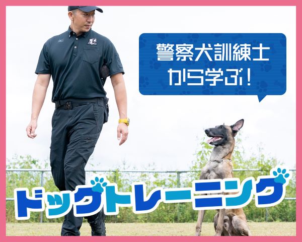 【警察犬訓練士から学ぶ！】 ドッグトレーニング／ＴＣＡ東京ＥＣＯ動物海洋専門学校