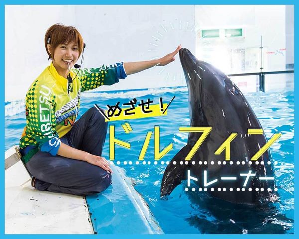 TCA東京ECO動物海洋専門学校