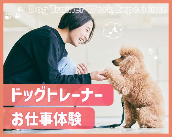 ドッグトレーナーお仕事体験／ＴＣＡ東京ＥＣＯ動物海洋専門学校