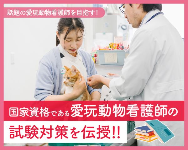 ＴＣＡ東京ＥＣＯ動物海洋専門学校