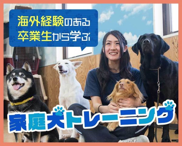 海外経験のある卒業生から学ぶ家庭犬トレーニング／ＴＣＡ東京ＥＣＯ動物海洋専門学校