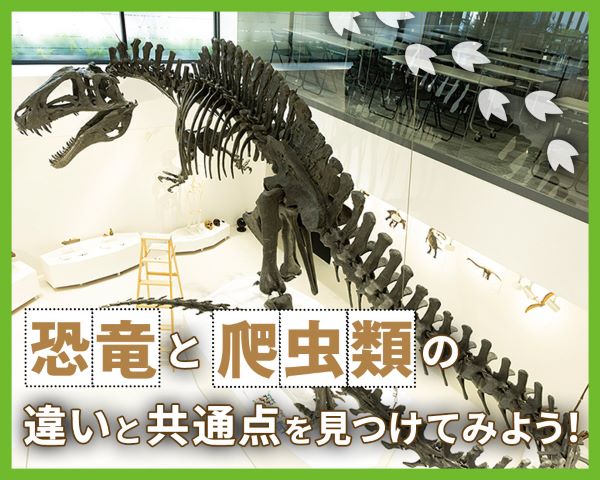 恐竜と爬虫類の違いと共通点を見つけてみよう！／ＴＣＡ東京ＥＣＯ動物海洋専門学校