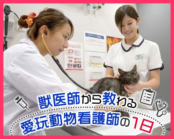 ＴＣＡ東京ＥＣＯ動物海洋専門学校