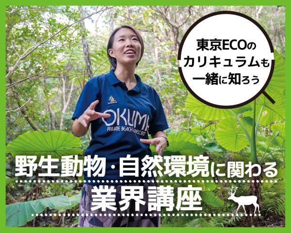 ＴＣＡ東京ＥＣＯ動物海洋専門学校