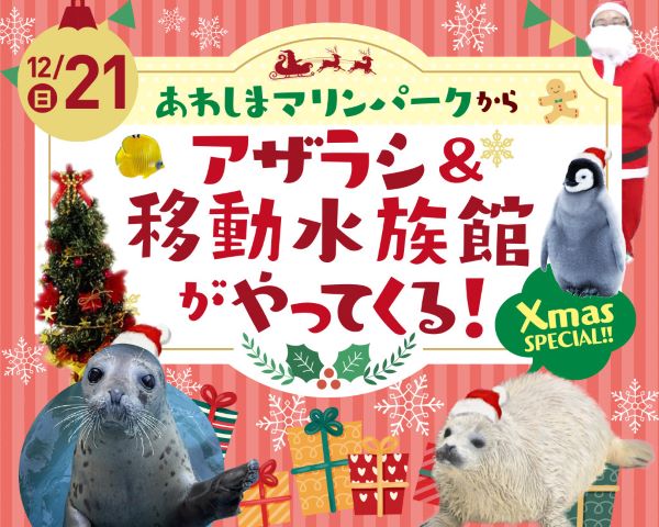 あわしまマリンパークからアザラシ＆移動水族館がやってくる！／ＴＣＡ東京ＥＣＯ動物海洋専門学校